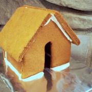 Small Plain Gingerbread House